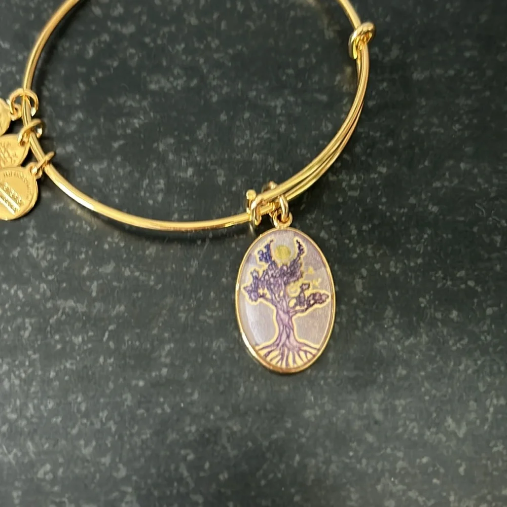 Alex & Ani adjustable bracelets - Picture 3 of 4